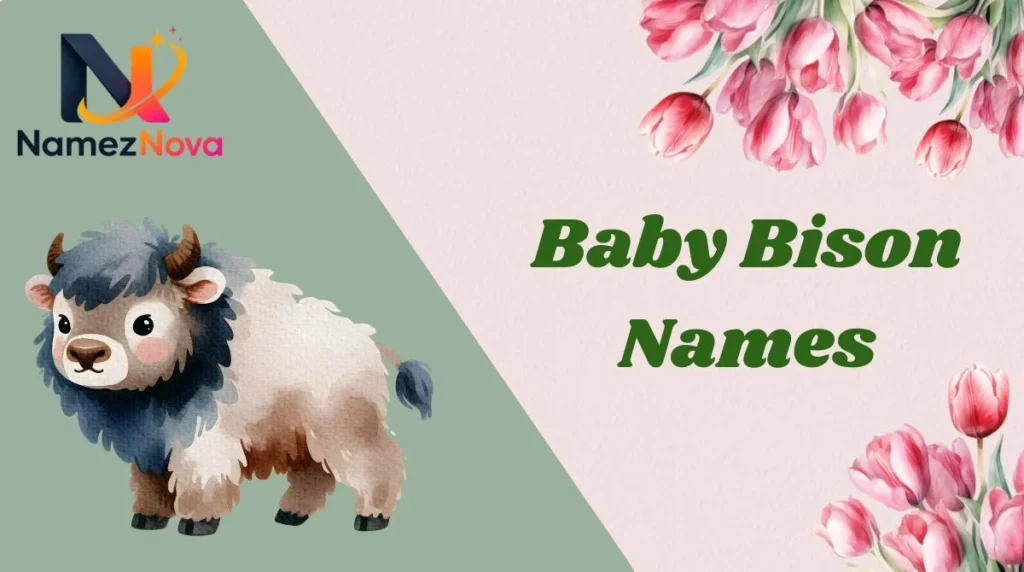 Baby Bison Names