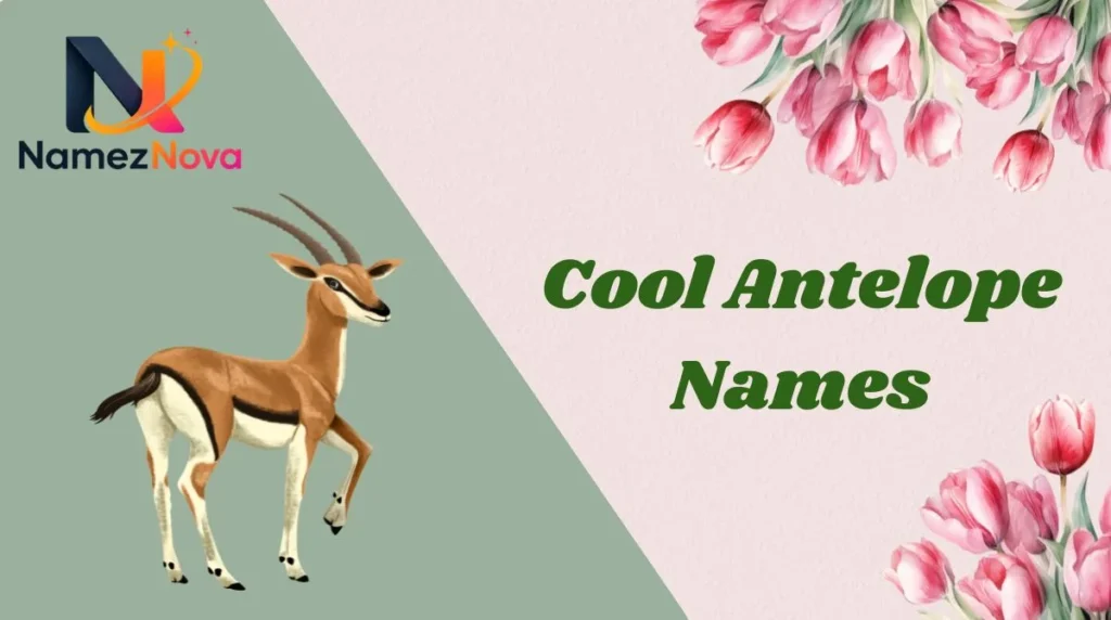Cool Antelope Names