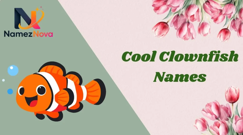 Cool Clownfish Names
