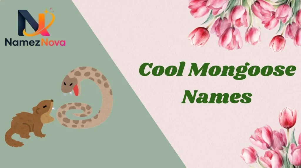 Cool Mongoose Names