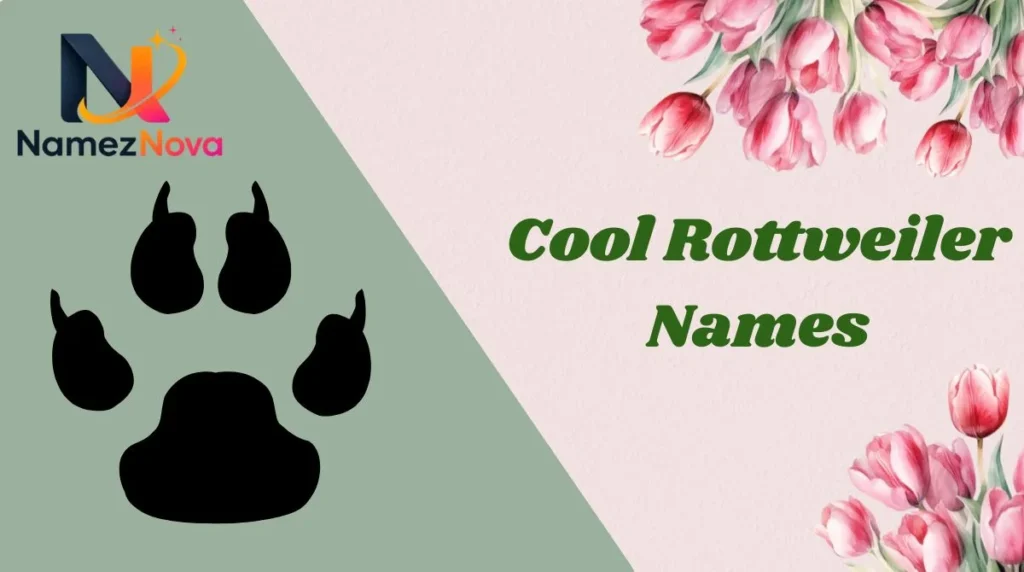 Cool Rottweiler Names