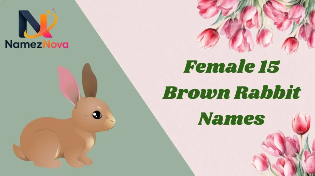 Female 15 Brown Rabbit Names