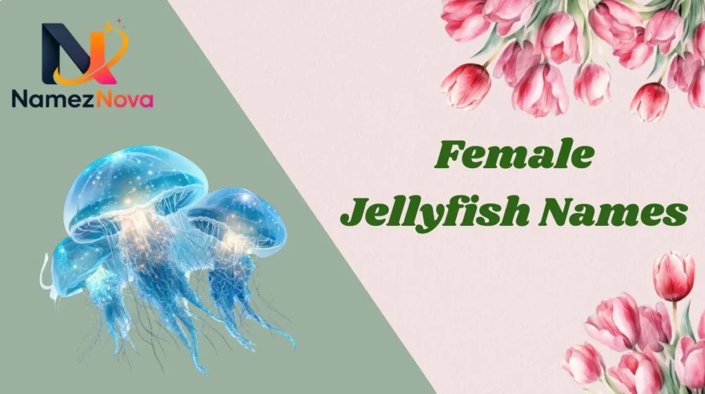 Female Jellyfish Names