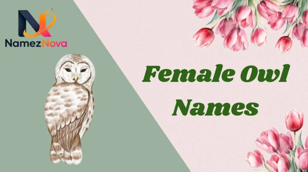 Female Owl Names