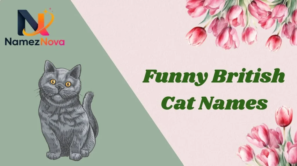 Funny British Cat Names