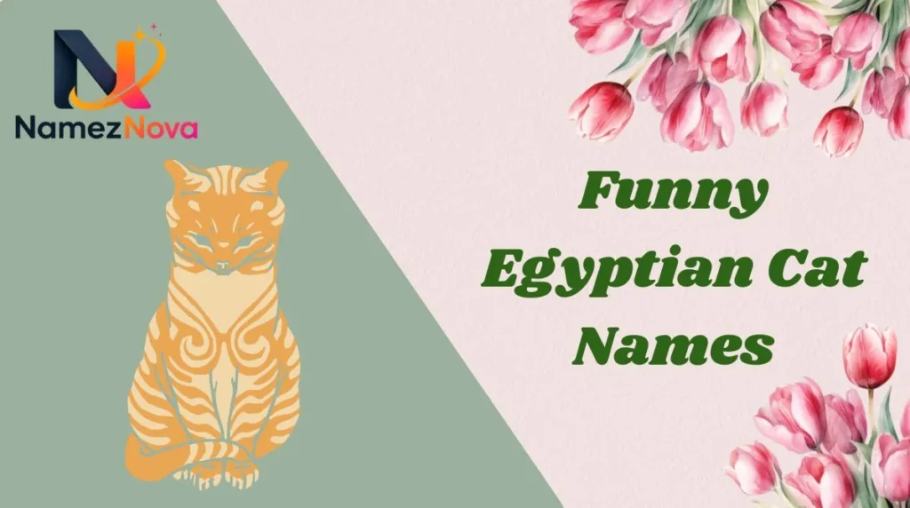 Funny Egyptian Cat Names