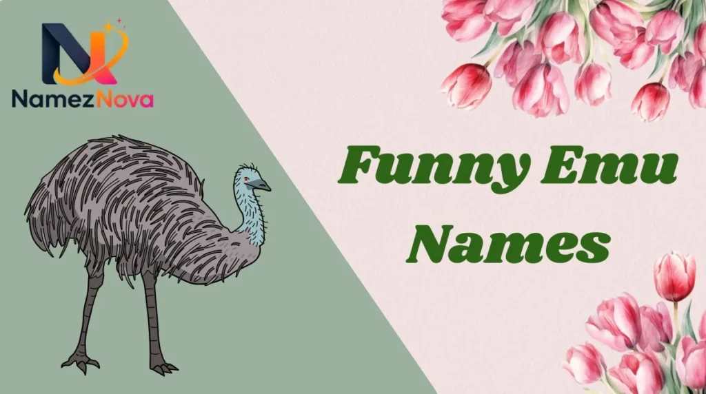 Funny Emu Names
