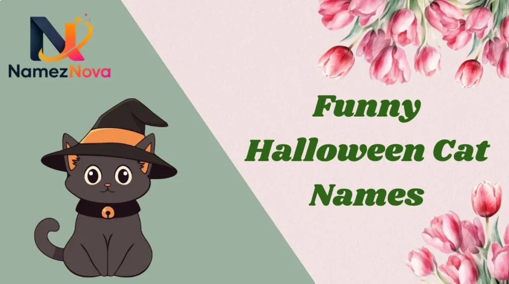 Funny Halloween Cat Names