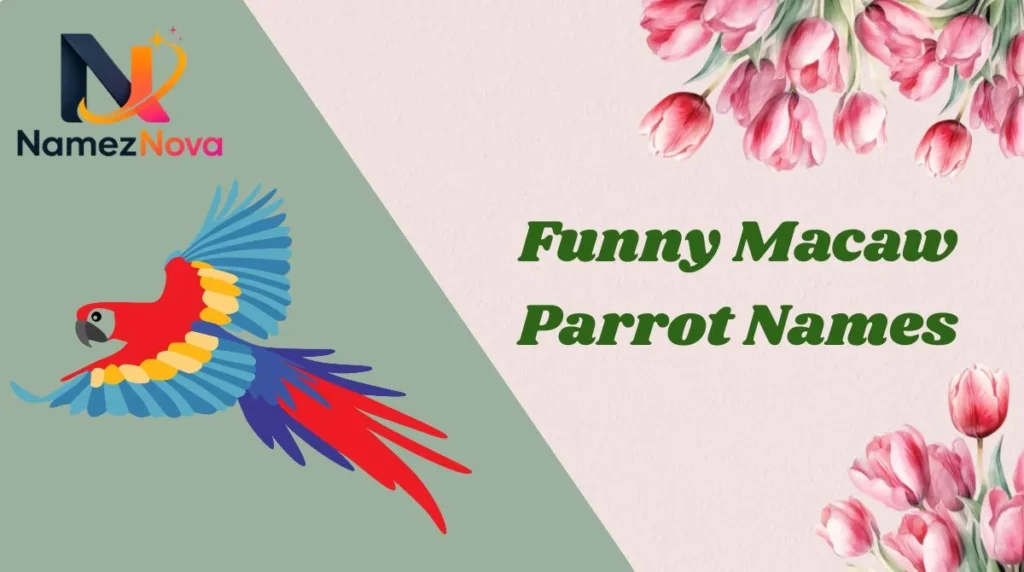 Funny Macaw Parrot Names