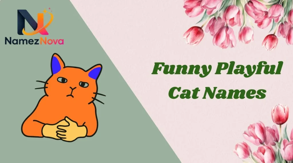 Funny Playful Cat Names