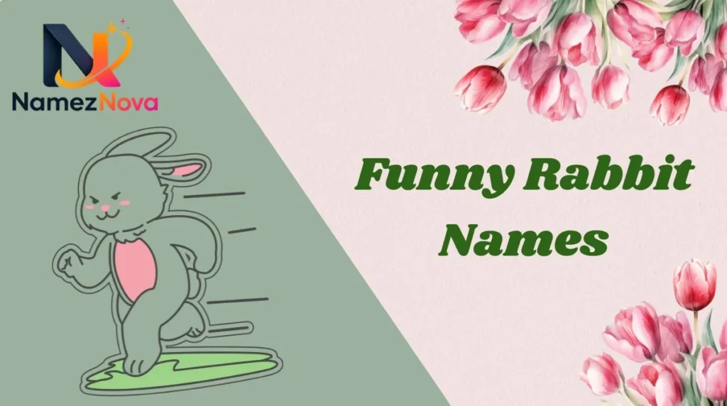 Funny Rabbit Names