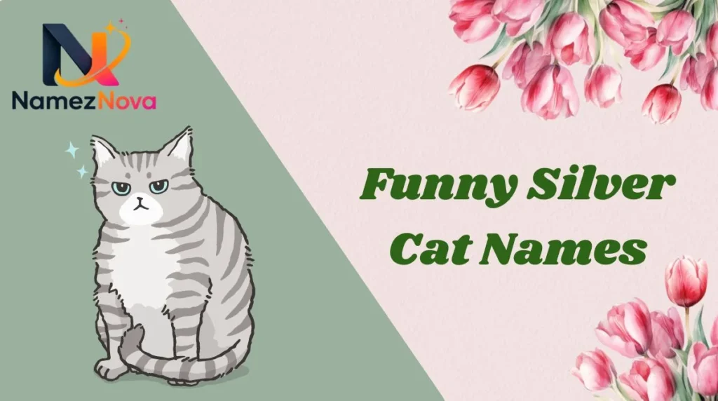 Funny Silver Cat Names