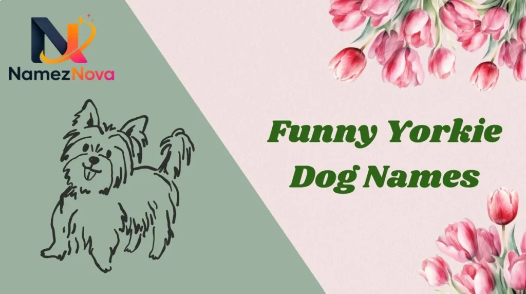 Funny Yorkie Dog Names