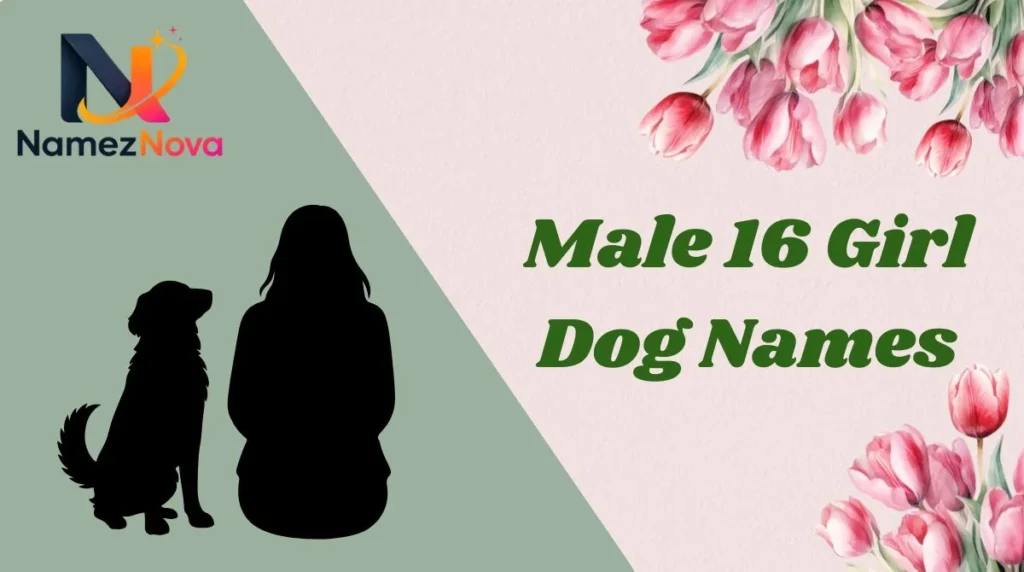 Male 16 Girl Dog Names