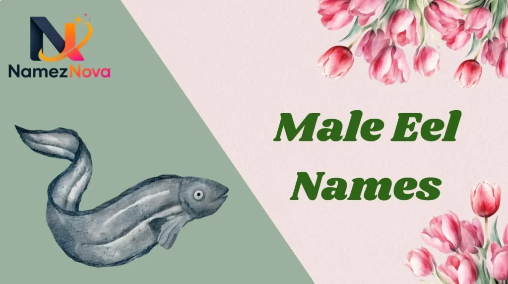 Male Eel Names