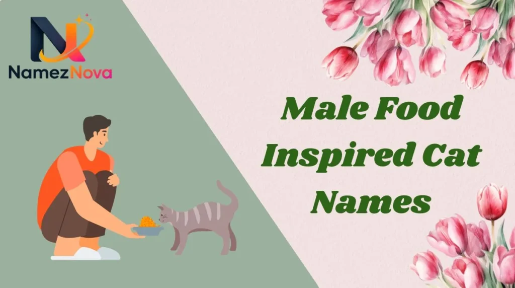 Male Food Inspired Cat Names