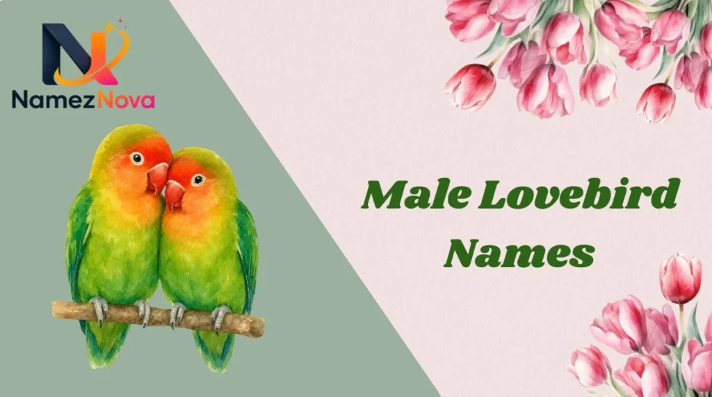 Male Lovebird Names