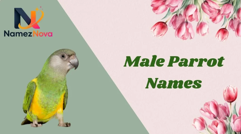 Male Parrot Names