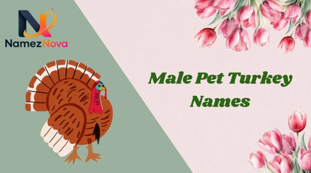 Male Pet Turkey Names