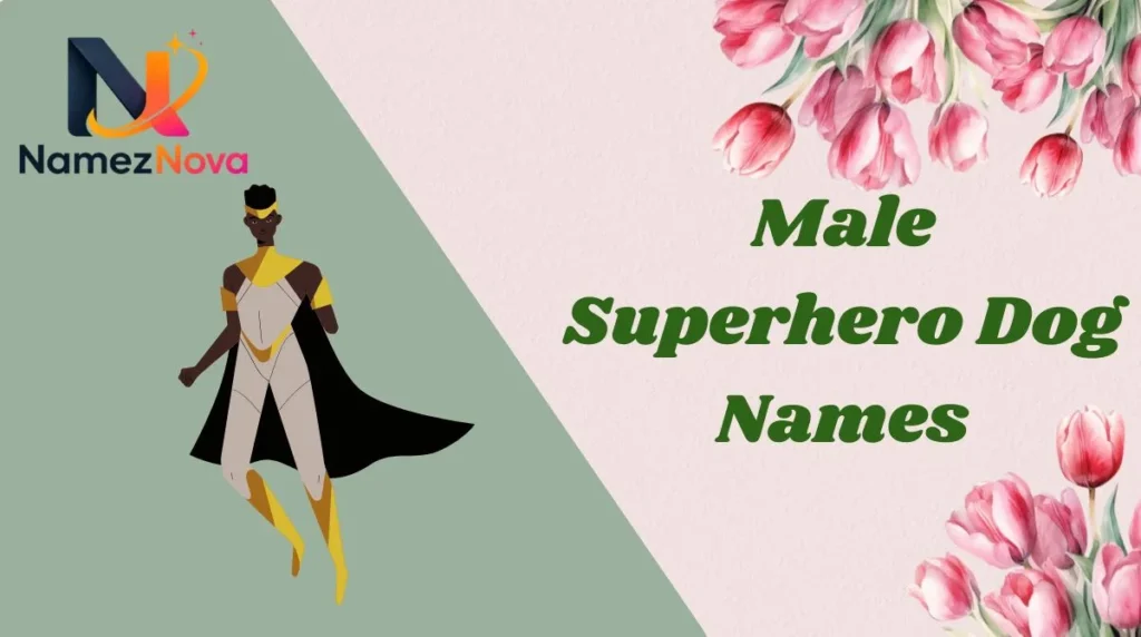 Male Superhero Dog Names