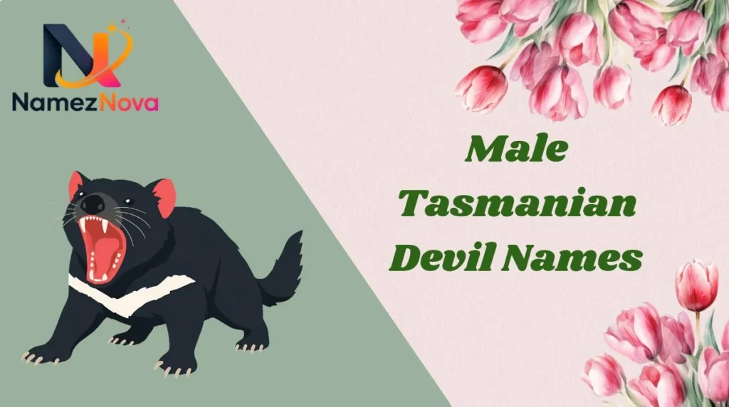 Male Tasmanian Devil Names