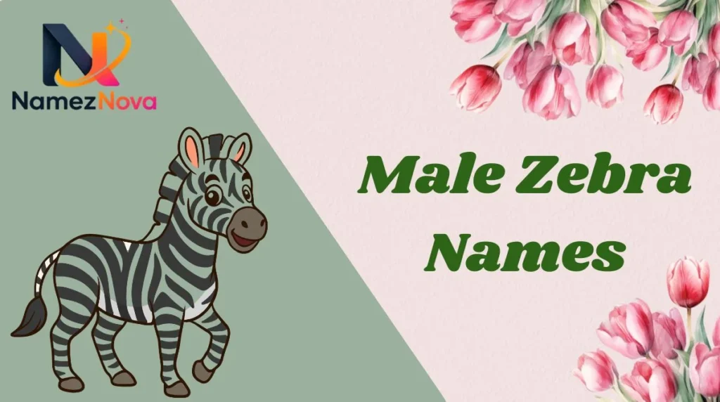 Male Zebra Names