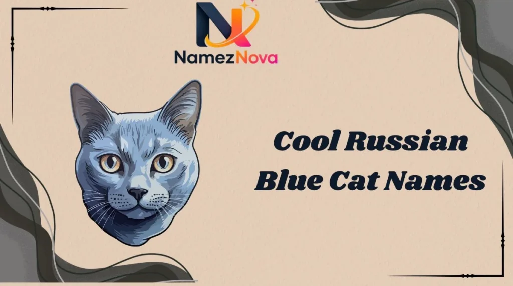 Cool Russian Blue Cat Names