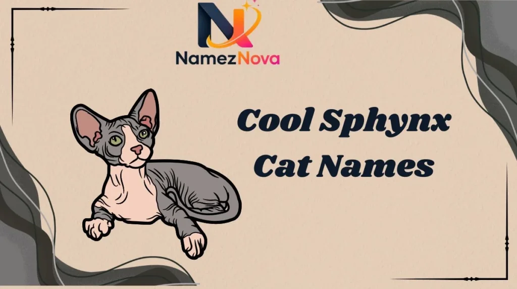 Cool Sphynx Cat Names