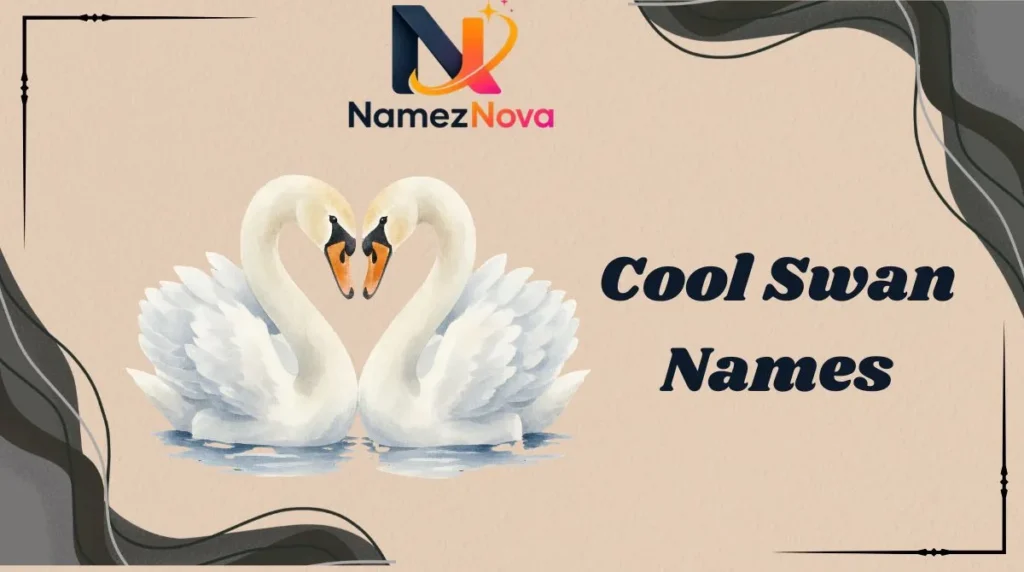 Cool Swan Names