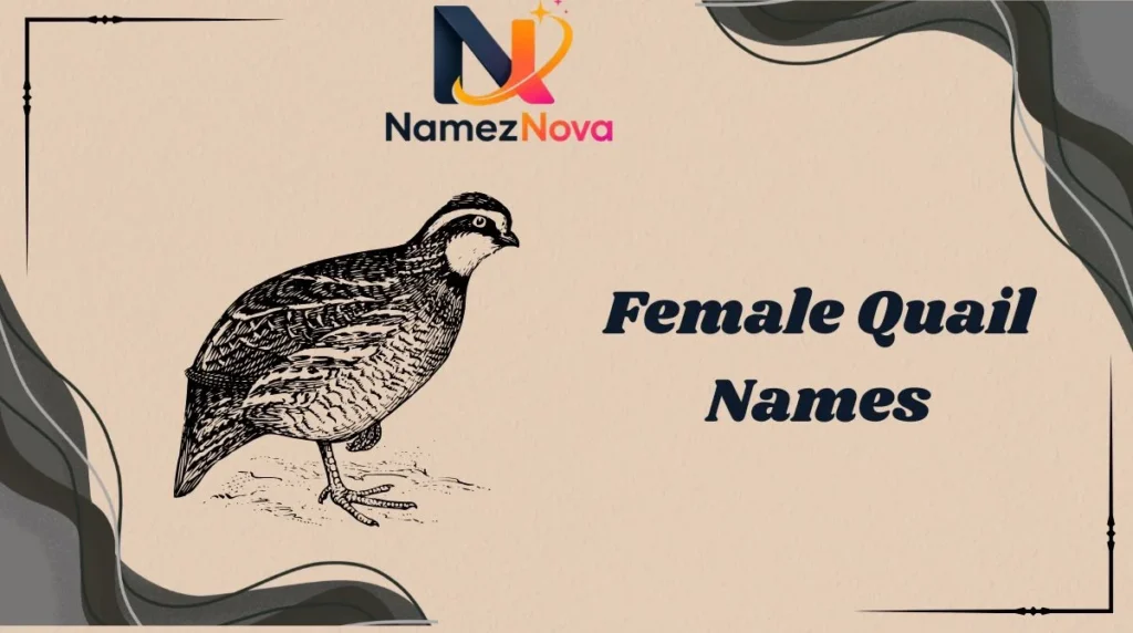 Female Quail Names