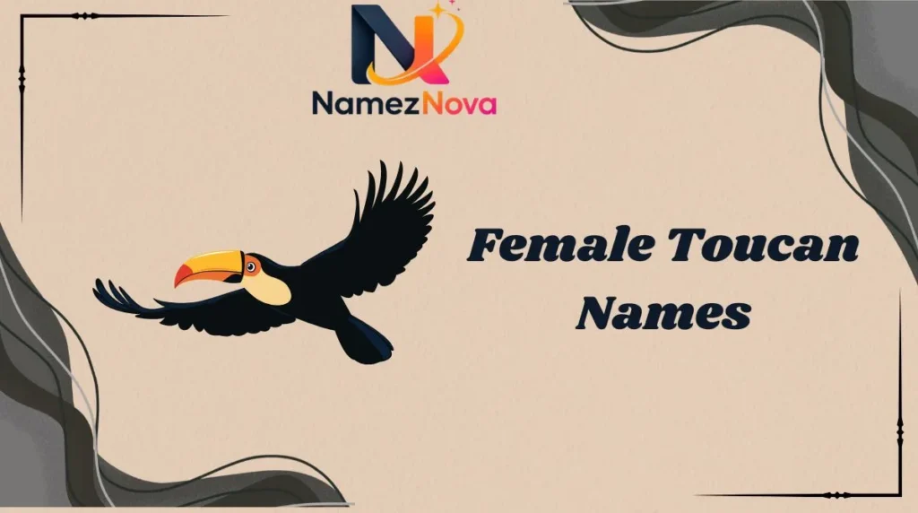 Female Toucan Names