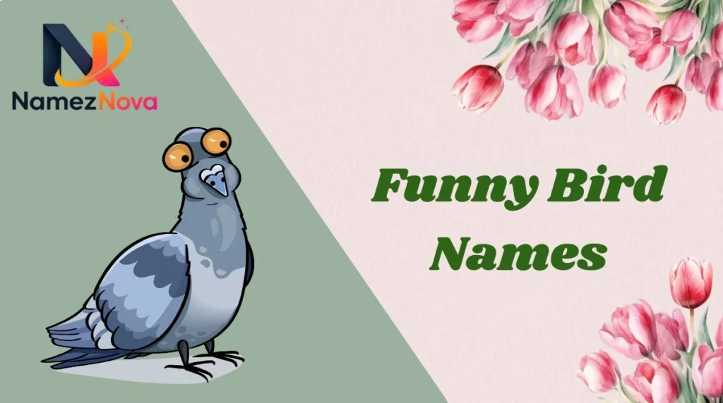 Funny Bird Names
