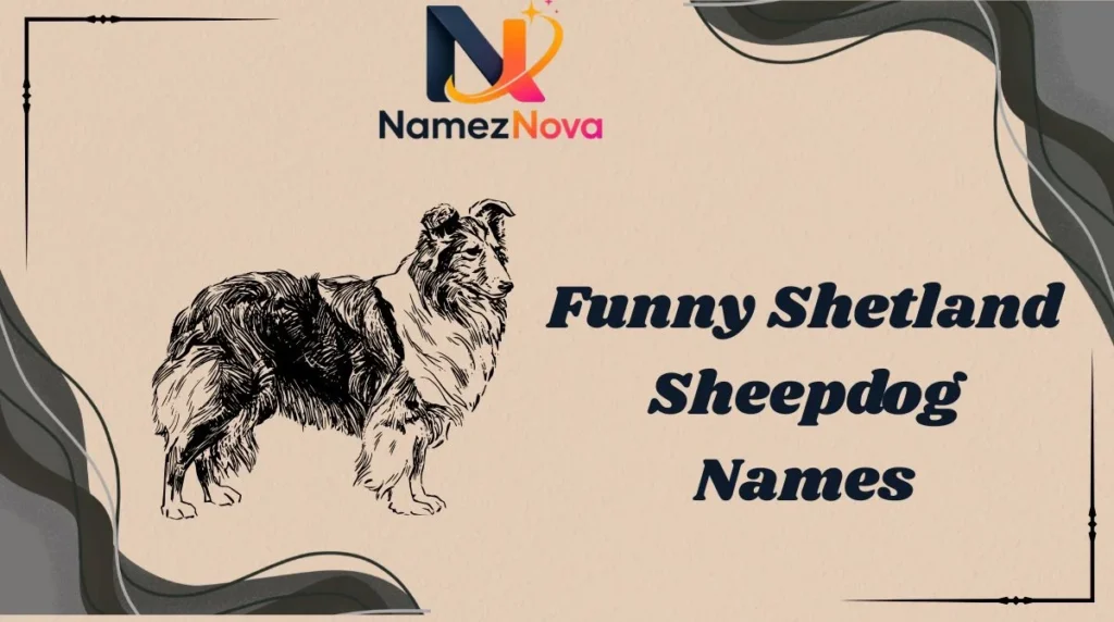 Funny Shetland Sheepdog Names