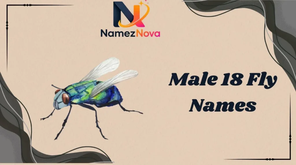 Male 18 Fly Names