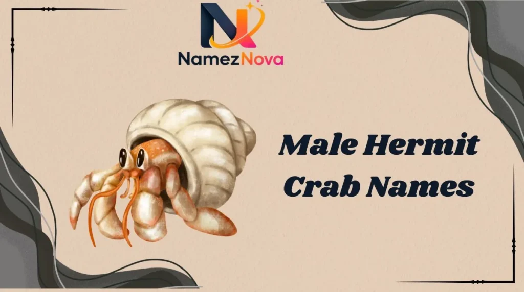 Male Hermit Crab Names