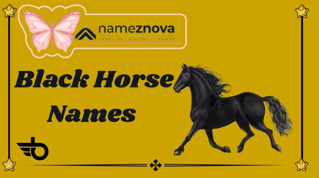 Black Horse Names