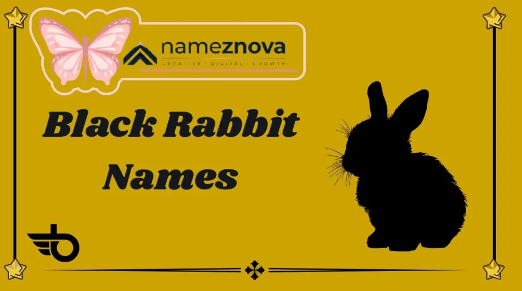 Black Rabbit Names