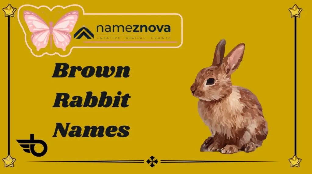 Brown Rabbit Names