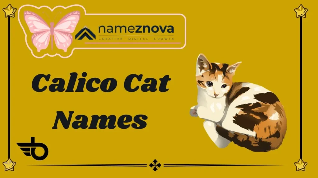 Calico Cat Names
