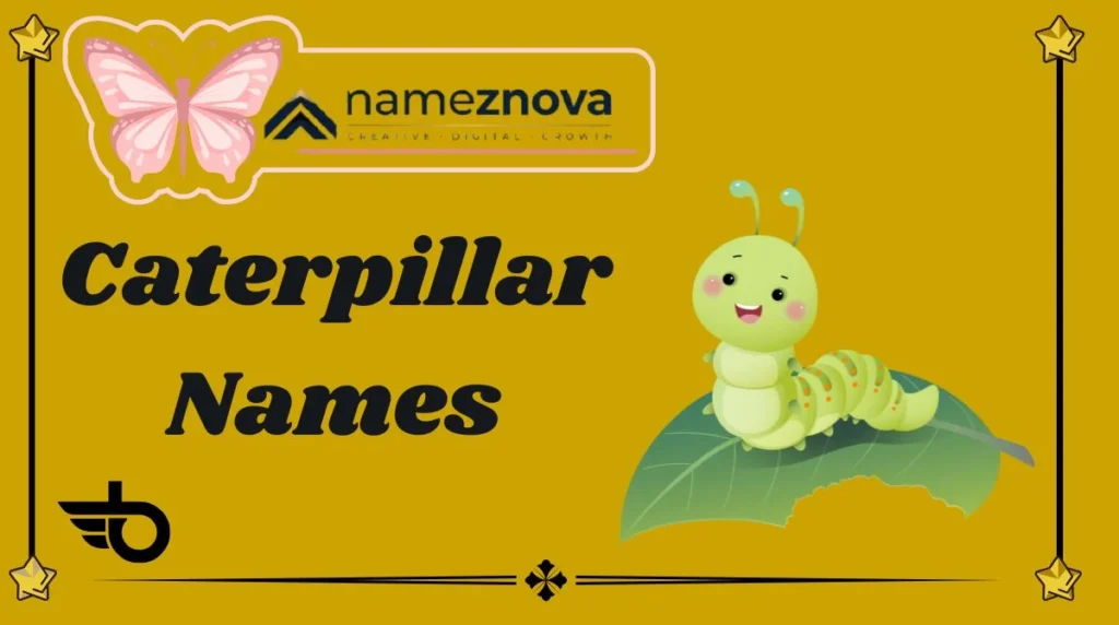 Caterpillar Names
