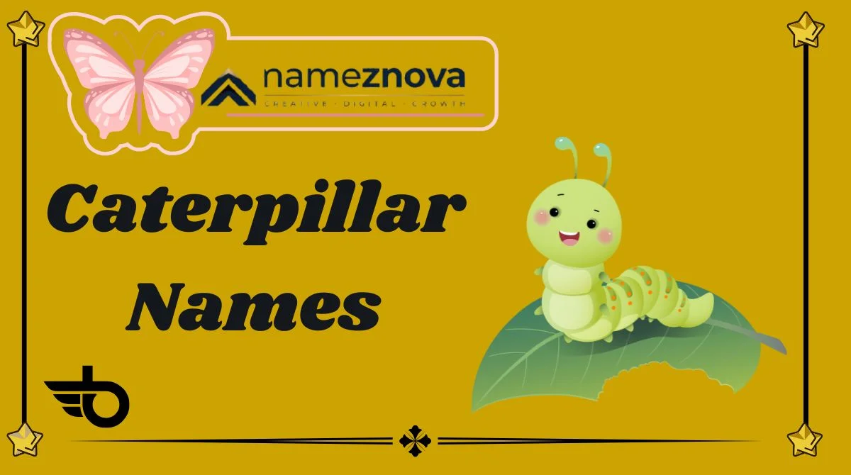 Caterpillar Names