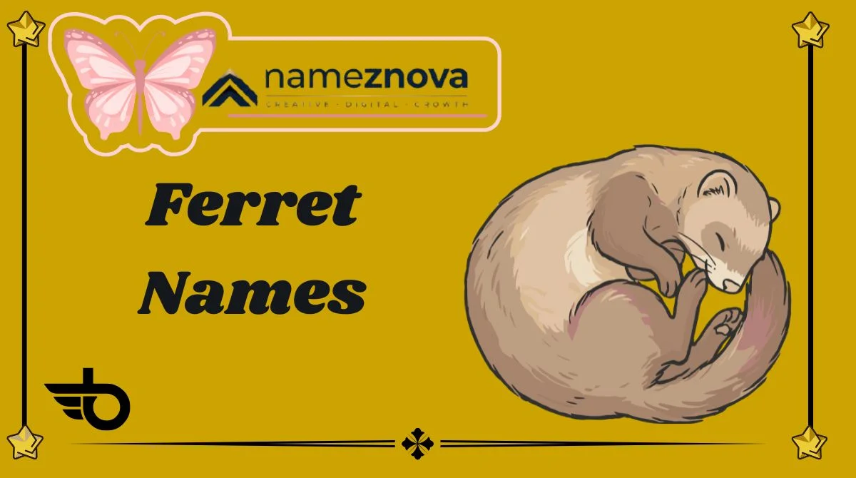 Ferret Names