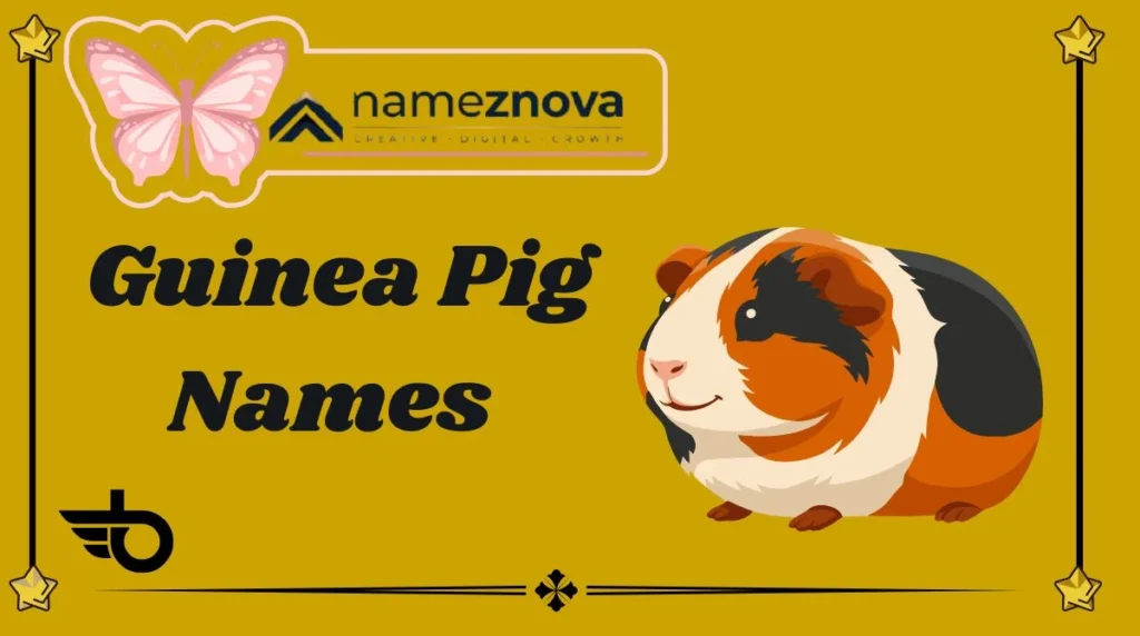 guinea-pGuinea Pig Names ig-names