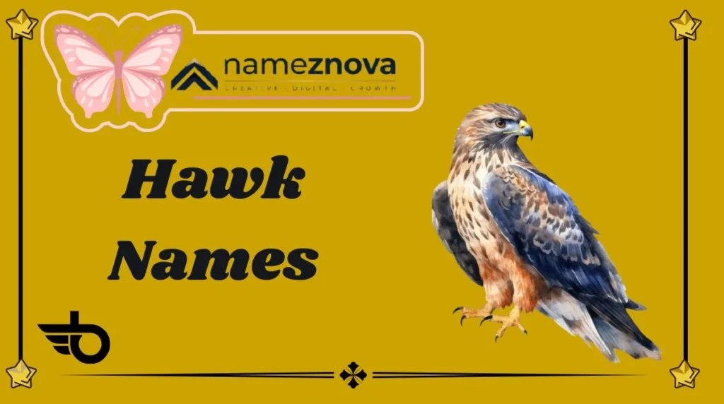 Hawk Names