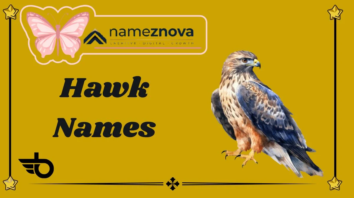 Hawk Names