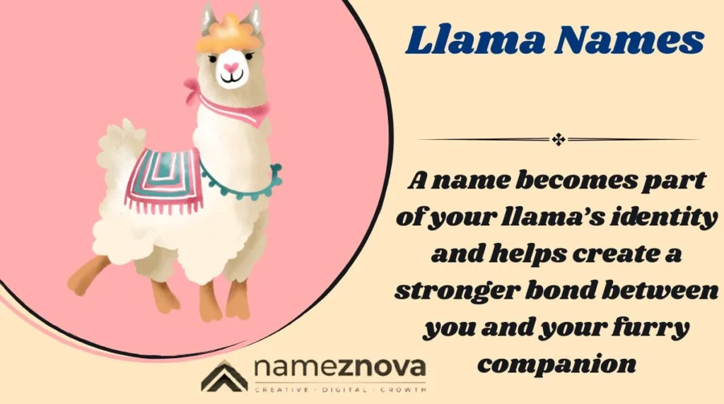Llama Names