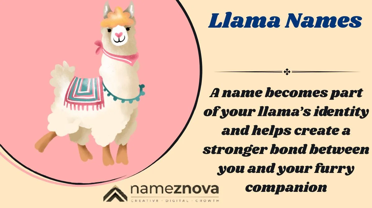 Llama Names