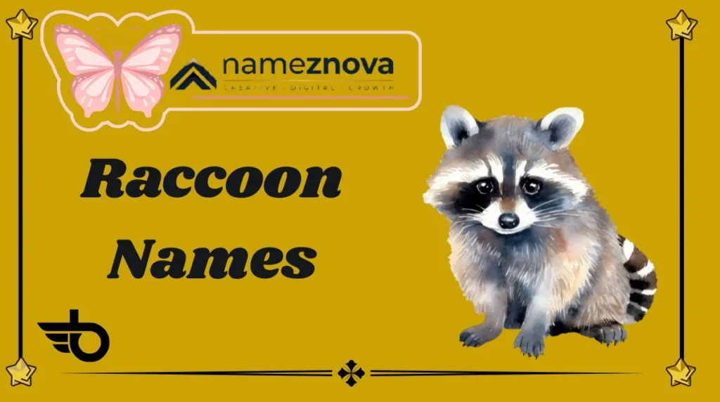 Raccoon Names