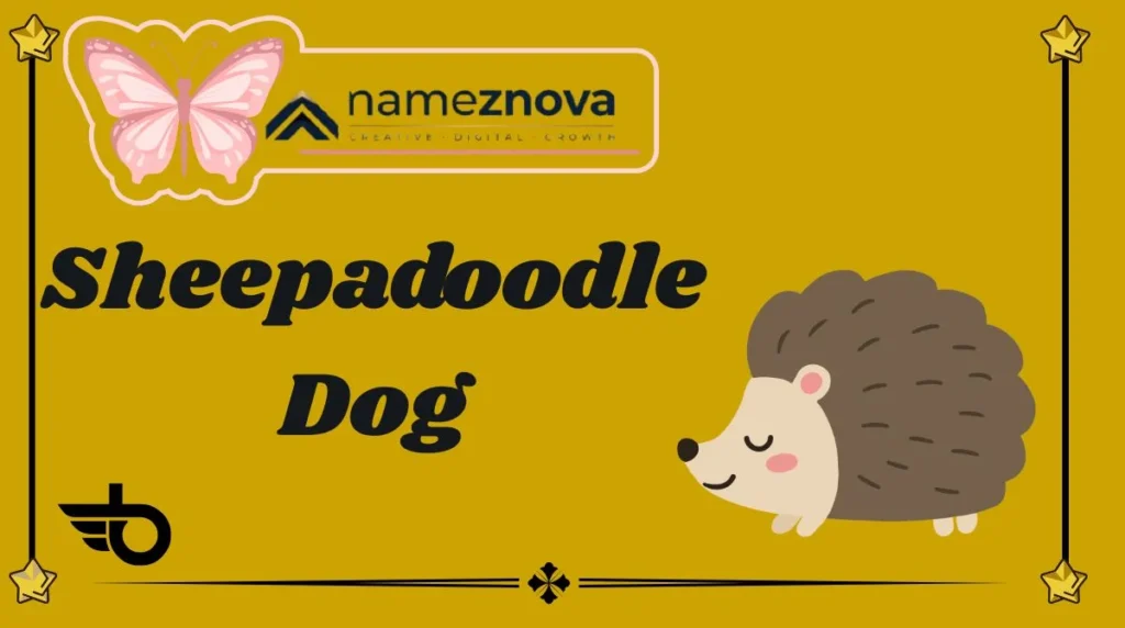 Sheepadoodle Dog