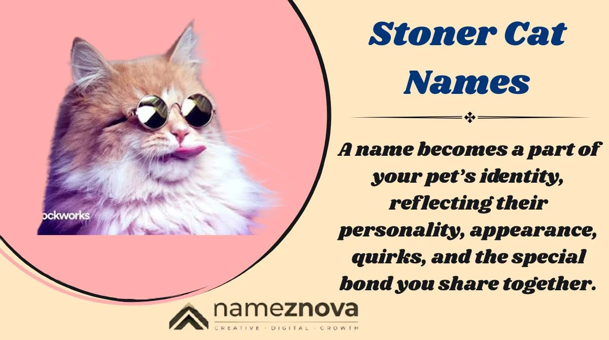 Stoner Cat Names
